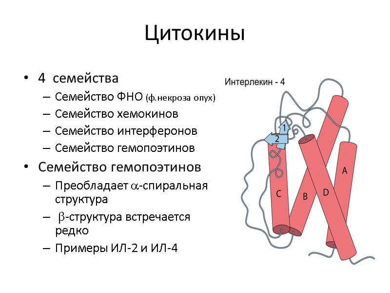 Цитокины 4  семейства  Семейство ФНО (ф.некроза опух) Семейство хемокинов Семейство интерферонов Семейство